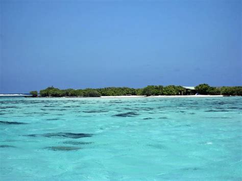 Moorea Pictures | Photo Gallery of Moorea - High-Quality Collection