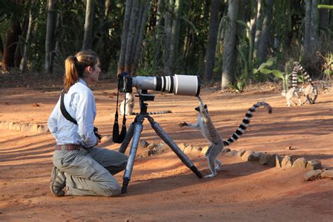 Women In Wildlife Photography A Brave Conversation California