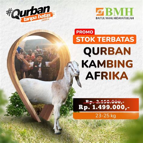 Miw On Twitter Siapa Disini Yg Belum Qurban Atau Mau Qurban Tapi