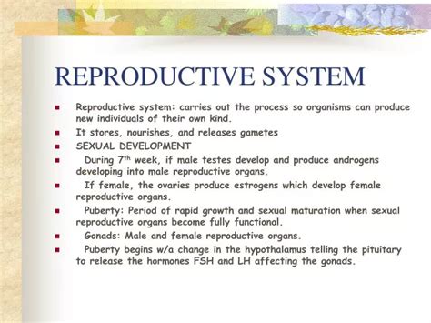 Ppt Reproductive System Powerpoint Presentation Free Download Id