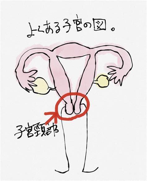 子宮腺筋症と卵巣嚢腫のお話 2〜治療方法の選択 コルチゾールが足りません