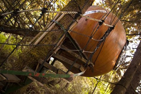 9 Astonishing Treehouses from Around the World - Inspiration | Tree ...