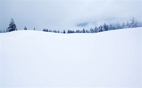 Snow White Desktop Wallpaper - WallpaperSafari