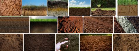 Regosol Soil? Regosol Soil Characteristics? **2023** | by Siteshares ...