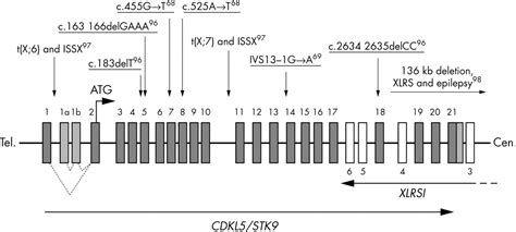 Rett Syndrome Clinical Review And Genetic Update Journal Of Medical