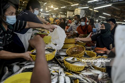 Bekalan Ikan Negara Mencukupi Jabatan Perikanan