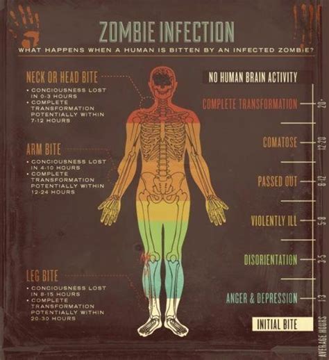 35 best images about Zombie Survival on Pinterest | Zombies survival, Survival blog and Zombie ...