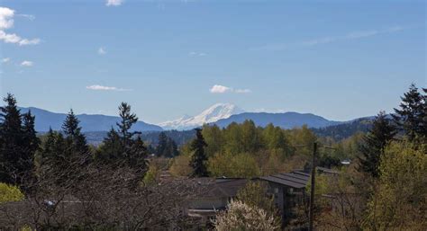 Mount Rainier View – Ichijo