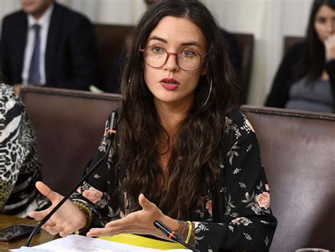 Camila Vallejo Respondi Al Gobierno Por Cr Ticas A Propuesta De