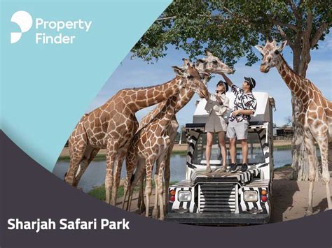 Sharjah Safari Park: Your Doors to Africa - Property Finder Blog UAE