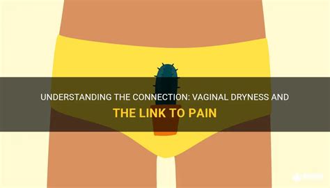 Understanding The Connection Vaginal Dryness And The Link To Pain