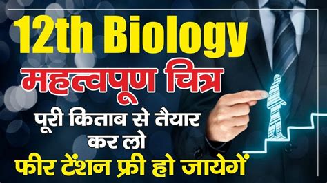 Class 12th Biology Important Figure12th Biology Important Chitra