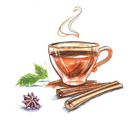 Cardamom Tea Stock Illustrations 473 Cardamom Tea Stock Illustrations