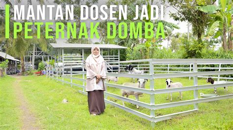 The Best Ternak Domba Sukses Ideas Peternak Indonesia