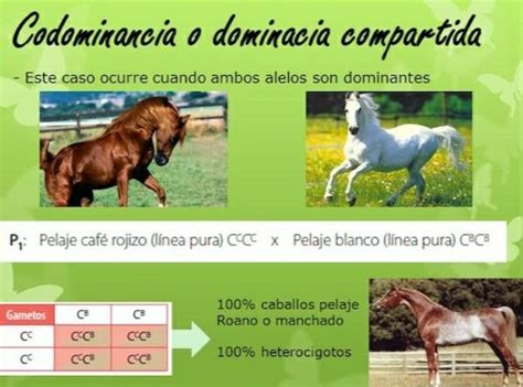 gráficamente realiza un ejemplo de una herencia incompleta o