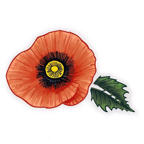 Download Hand Drawn Poppy Sketch Png Ejg66