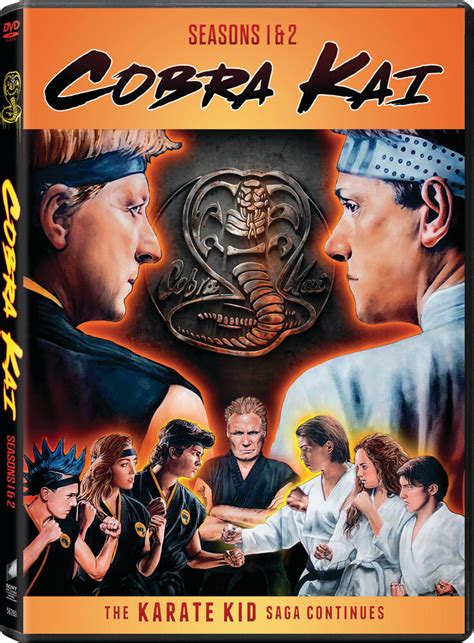 Cobra Kai Tv Show Ubicaciondepersonascdmxgobmx