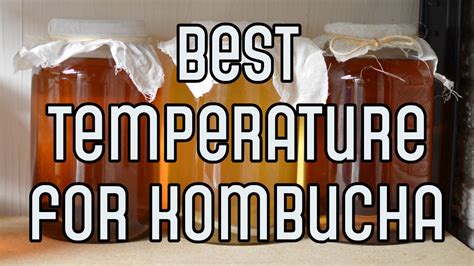 Best Temperature For Kombucha | Great Kombucha