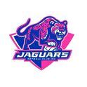 Melbourne Victoria Australia Jaguars Netball Club