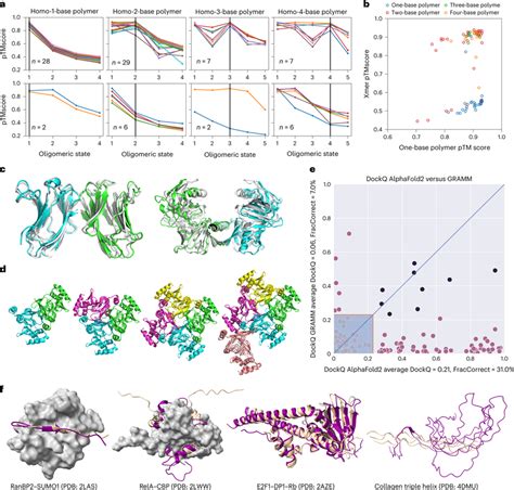 Using Af2 To Predict Homo Oligomeric Assemblies And Their Oligomeric Download Scientific