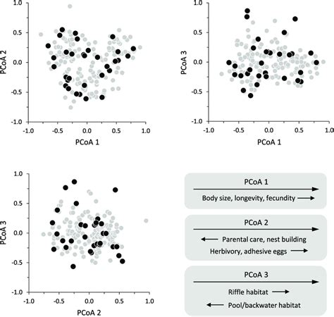 Ordination Biplots Showing The First Three Principal Coordinate Pcoa Download Scientific