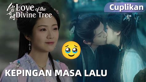 Love Of The Divine Tree Cuplikan EP22 Kenangan Kehidupan Masa Lalunya