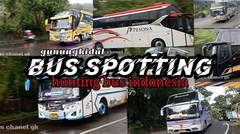 Hunting Bis Saat Hujan Di Tikungan Bukit Bintang Gunungkidul