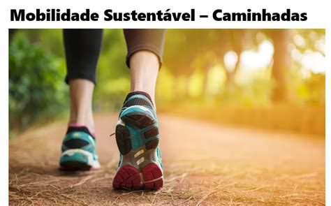 Mobilidade Sustentável O Próximo Passo Sustentabilidade Agora