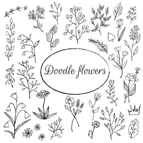 Collection D Ornements Floraux Doodle Floral Illustration Dessin E La