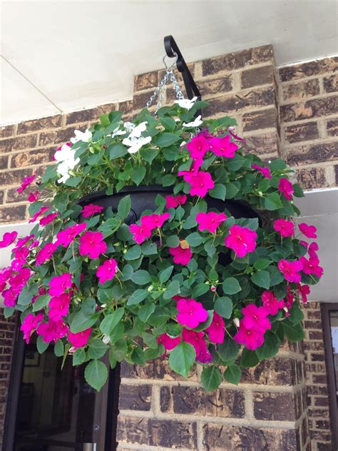 Hanging Flower Baskets How Its Made Plantopia