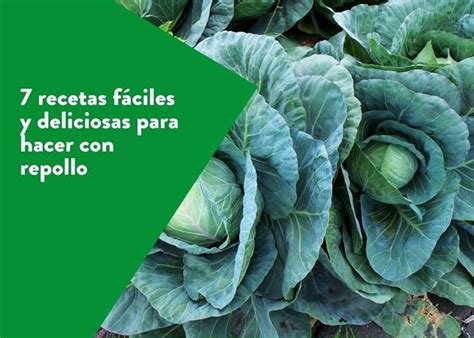 7 Recetas Fáciles Y Deliciosas Para Hacer Con Repollo