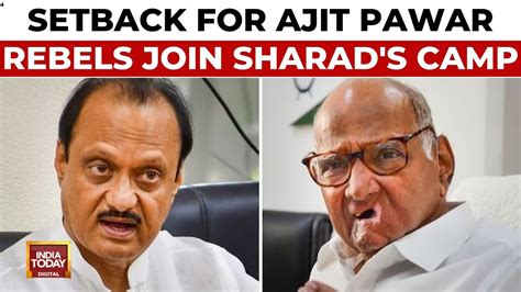 Setback For Ajit Pawars Ncp Rebel Netas Join Sharad Pawars Faction