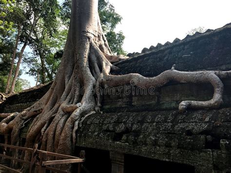 Angkor Thom Complexo Religioso Cidade Do Templo Templo Khmer