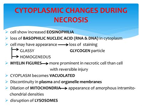 Necrosis And Types Ppt