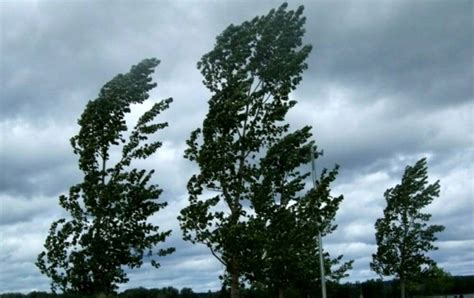 Raffiche Di Vento E Possibili Temporali Allerta Meteo Della Protezione