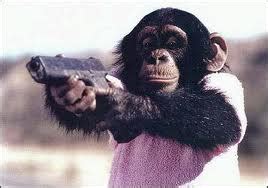 Funny Bae: Funny Monkeys With Guns-Monkeys Holding Guns