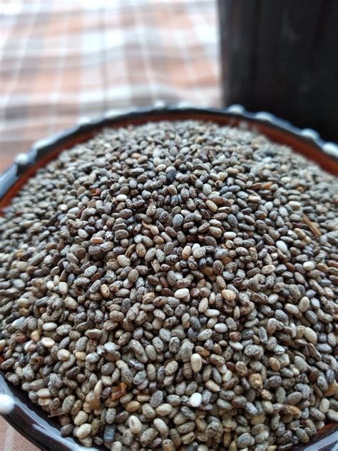 Чиа крупа фото