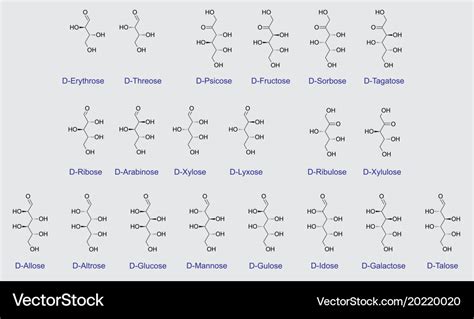 Carbohydrates Structural Formulas Royalty Free Vector Image