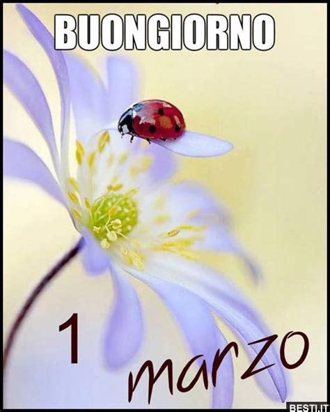 1 Marzo Buongiorno Besti It Immagini Divertenti Foto