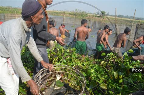 Image Of Indian Villagers Participate In Community Fishing During The