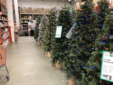 Damn it Home Depot (Reston)! IT’S NOT EVEN HALLOWEEN YET! : r/nova