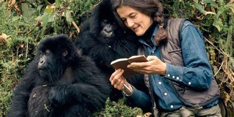 THE GRANDMA'S LOGBOOK ---: DIAN FOSSEY: PROTECTING GORILLAS IN RWANDA