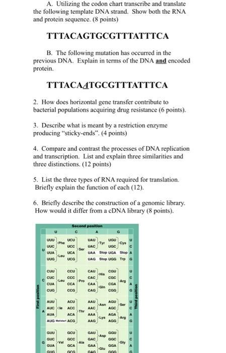 Dna Translation Chart