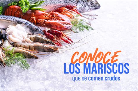 Conoce Los Mariscos Que Se Comen Crudos El Canto De Sirenas