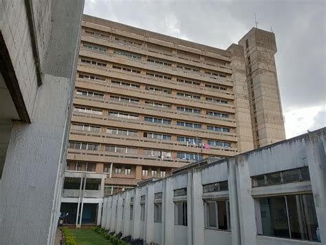 Kenyatta National Hospital Tortoisepath Kenya 🇰🇪