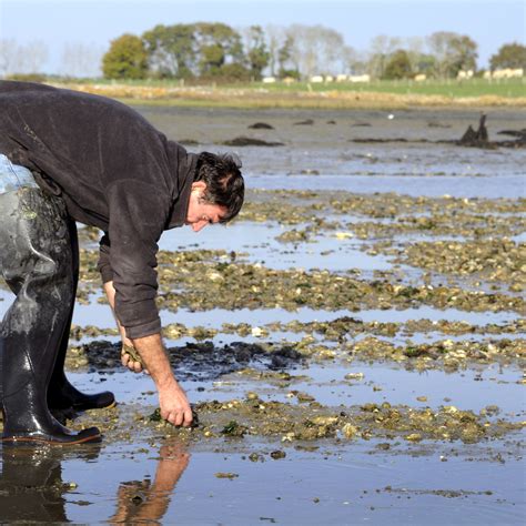 Grandes marées pêche promenade santé Les règles à respecter