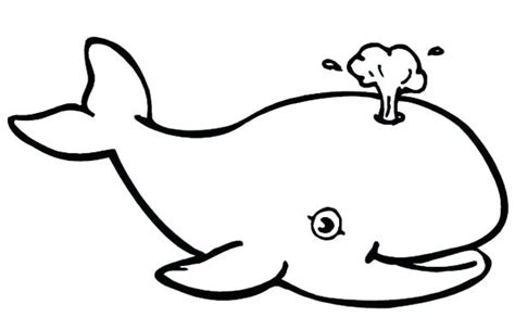 Killer Whale Outline Drawing at PaintingValley.com | Explore collection of Killer Whale Outline ...