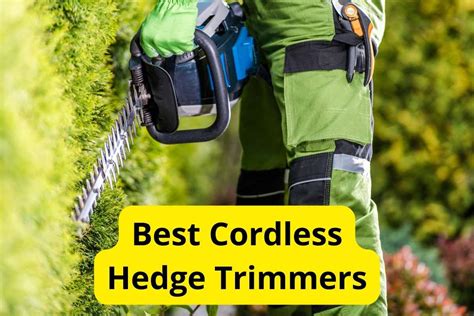 10 Best Cordless Hedge Trimmers Of 2024 Reviews Lawnstarter