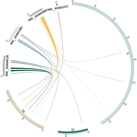 Circos Plot Of Proteins On W Chromosome Scaffolds Aligned To The