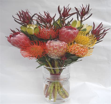 Flowers and things: The Beautiful Protea Flower